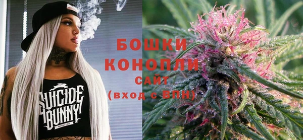 марки lsd Белокуриха