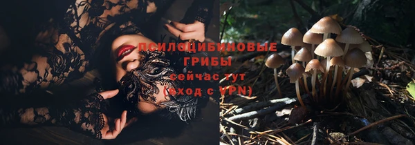 марки lsd Белокуриха